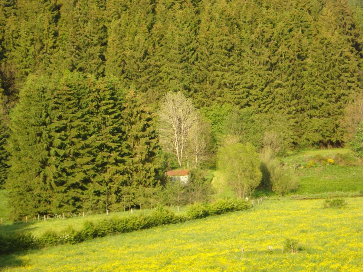 Location Panoramagreen Burg Reuland Buitenkant foto