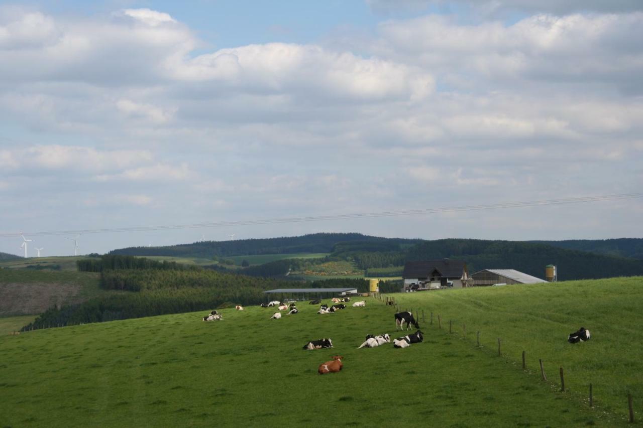 Location Panoramagreen Burg Reuland Buitenkant foto
